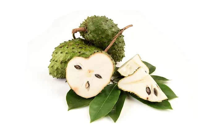Sour Sop Fruits
